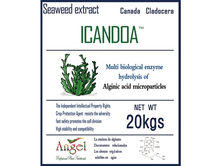 ICANDOA20kg标签