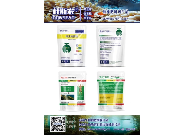 墨角力速膨，真抗AOS