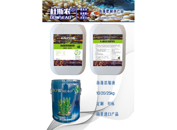 墨岗海藻四藻合一浓缩原浆