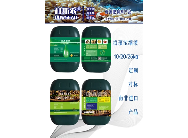 KALPTON墨角力，LUCKALL象皮鲸