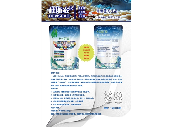 十三朗素