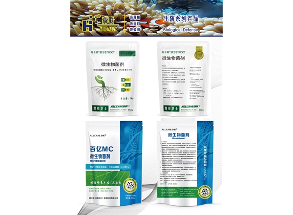 阿卡解根为思，ALLCANLINK百亿MC