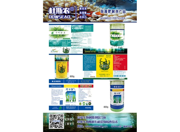千叶海藻,ICANDOA藻蓝素，阿卡联L